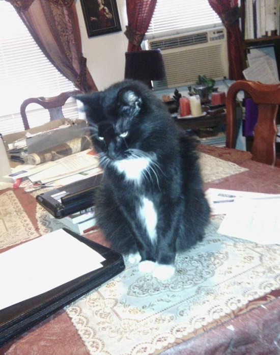 13435578_10209007992692922_9091340422632408302_n